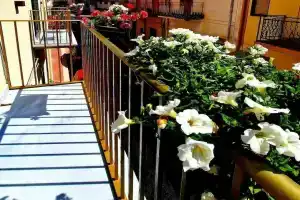 Borgo La Chiusa, Чинизи