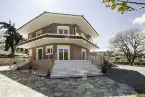 Laugh & Life House, Коскину