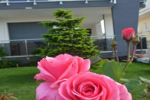 B&b La Rosa dei Venti, Альтамура