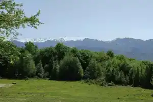Аибга Эко, Аибга
