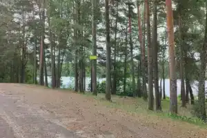 База отдыха «Щитовка» в Витебской области
