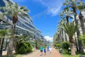 Гостиница «InSochi», Сочи