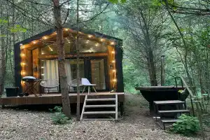 База отдыха «Сосны. Пространствие»