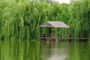 Усадьба, Невинномысск