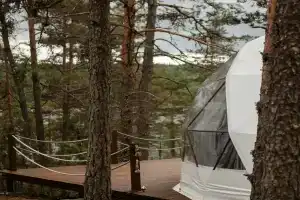 Глэмпинг «Lago Ladoga»