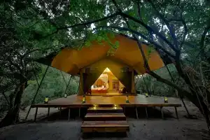 Tribe Yala - Luxury Camping, Тиссамахарама