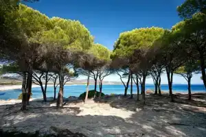 Appartamento Dei Pini, Будони