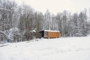 Домик в лесу у реки с панорамным остеклением