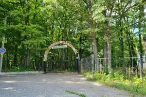 База отдыха «Зелёная Роща», Саранск