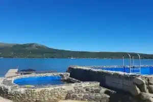 База отдыха «Дельфин», Витязь