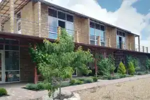 Вариант Омега