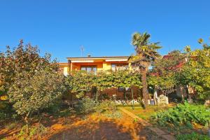 Apartment 933, Štinjan