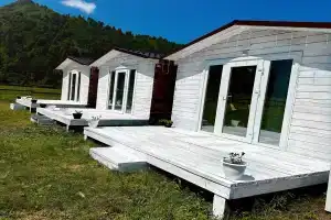 Драгон Вилладж, Элекмонар