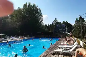 Чайка