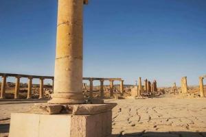 Jerash Apart Hotel, Джараш