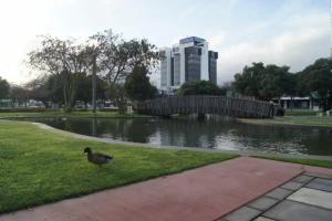 Quest Palmerston North, Палмерстон-Норт