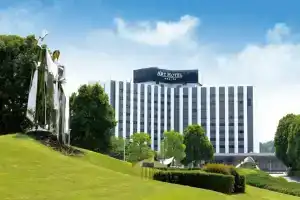 Art Hotel Narita, Нарита