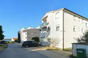 Apartment 1982, Медулин