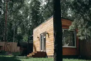 Домики в лесу