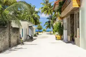 Coconut Tree Hulhuvilla Beach, Hulhumale