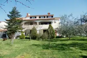 Med - With Terrace - A2, Pomer