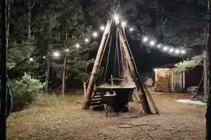 В гостях у Лешего