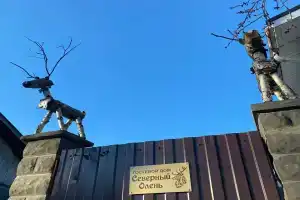 Гостевой дом «Северный олень», Сортавала