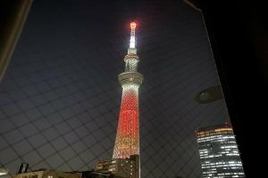 Hotel Toko Tokyo Tree View, Токио
