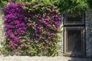 B&b Renalù, Вербания