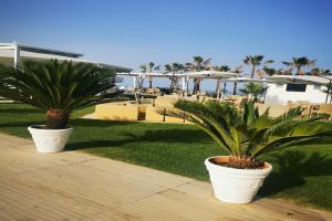 1-bed Apartment in Marina di Santa Maria del Cedro, Прая-а-Маре
