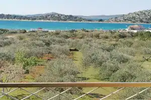 Damir - on the sea Side - A1, Трибуни