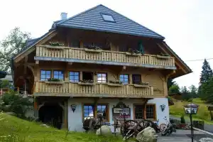 Hotel Höhengasthof Grüner Baum, Фельдберг