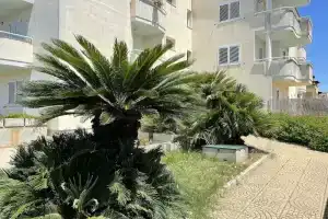 IzzHome Atmosphere, Пула
