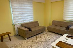 Axis Homes Suit, Гёрюкле