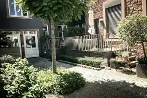 The Backyard, Трир