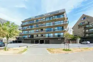 Zandstuyver 102, Коксид
