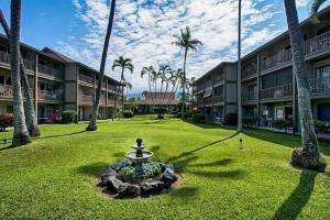 Kona Isle C24, Алоха-Кона