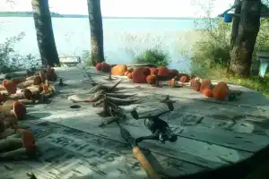 Гостевой дом «Селигерский хуторок», Могилево