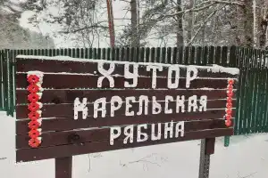 Карельская рябина