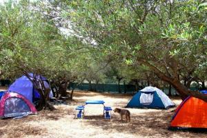 Camping Ciauli, Калатафими