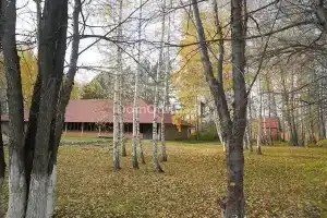 Санаторий-профилакторий Березовая Роща, Тюмень