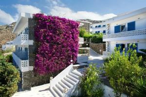 Alkistis Hotel Mykonos - Adult Only, Турлос