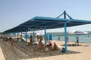 Троянда