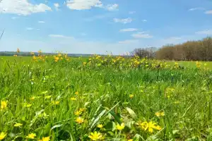 Гостиница «Сказка», Нехаевская