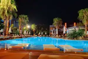 Forest in Hotel, Гейнюк
