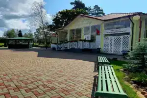 Гостиный двор в деревне Цыборы