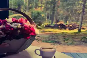 База отдыха «Долина Парк», Мамонтовка