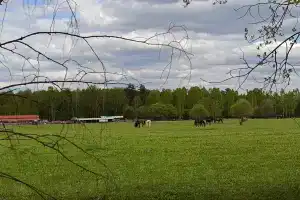 Ситское подворье в Юхновском районе