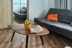 Стоп. Снято!, Калининград