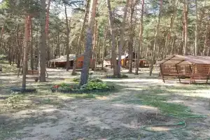 База отдыха «Лес», Лиски